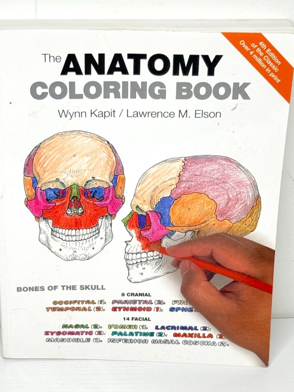 The Anatomy Coloring Book 4th Edition Wynn Kapit Lawrence M Elson Paperback